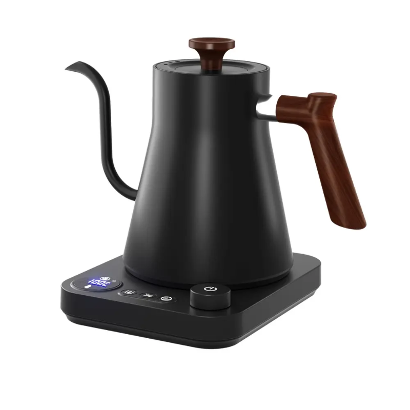 Electric Kettle with Temperature Control